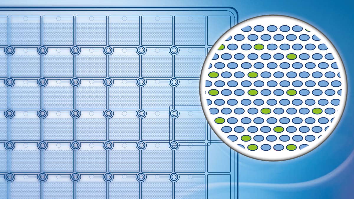 Digital Polymerase Chain Reaction (PCR) Market Report, Outlook and Forecast 2024-2032