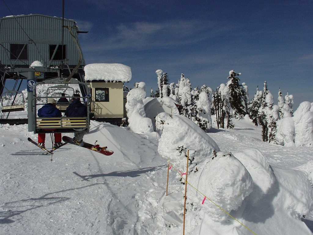 Shimla Manali Trip: Best Hill Stations Fro Your Next Holidays