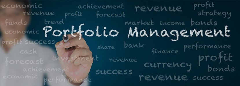 Portfolio management services: How to choose and objectives