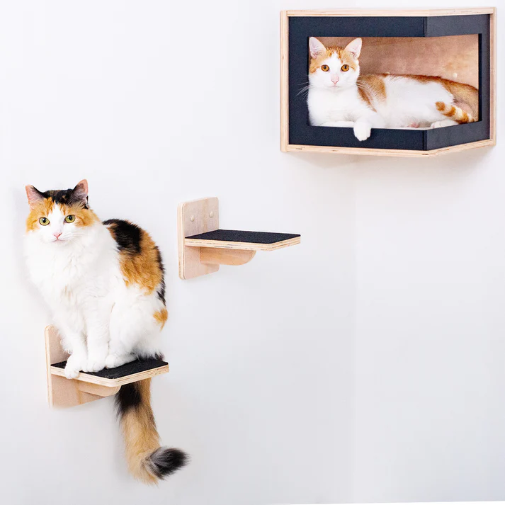 The Complete Guide to Wall Mounted Cat Shelves: Creating a Vertical Paradise for Your Feline Friends