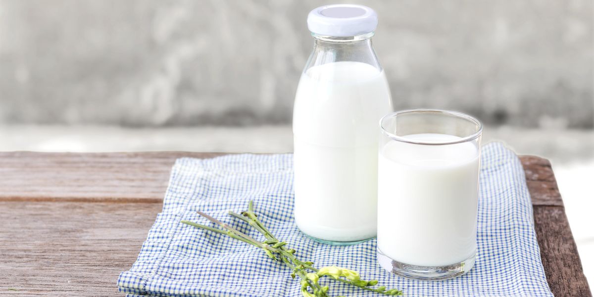 Benefits of cow’s milk for men’s erection health