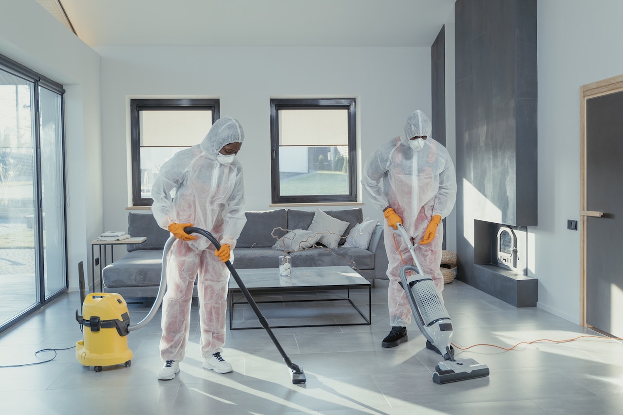The Hidden Impact: Professional Carpet Cleaning and Home Health
