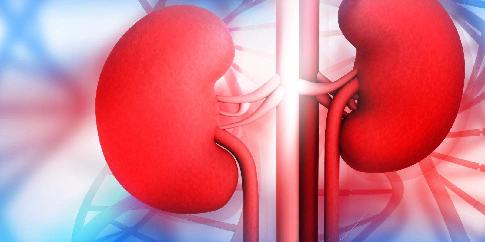 Important Tests for Diagnosing Kidney Disease
