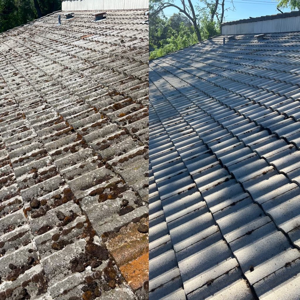 A Breath of Fresh Air: Renew Your Home’s Exterior with Roof Cleaning