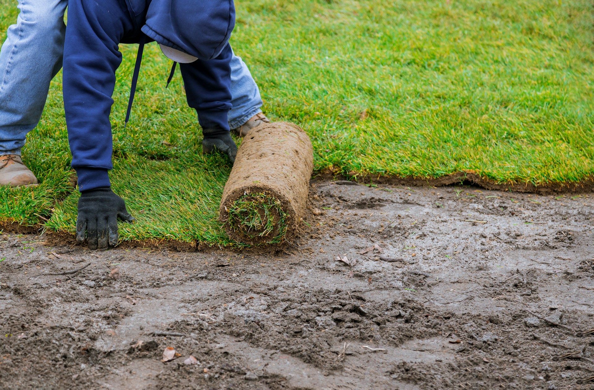 The Benefits of Sod for Playgrounds